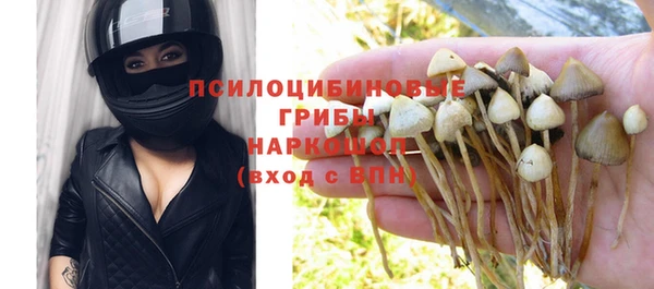 круглые Алексеевка