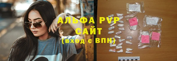 гашик Алексин