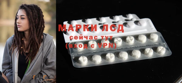 гашик Алексин