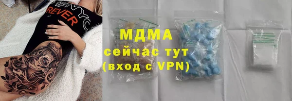гашик Алексин