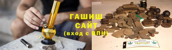 гашик Алексин