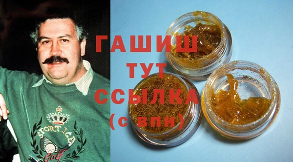 гашик Алексин