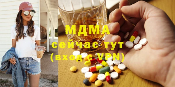 гашик Алексин