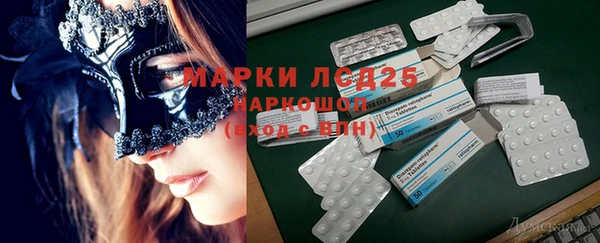 гашик Алексин