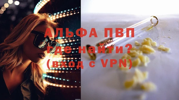 гашик Алексин