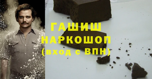 гашик Алексин
