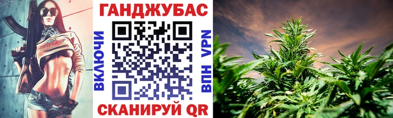Шишки марихуана планчик Сунжа
